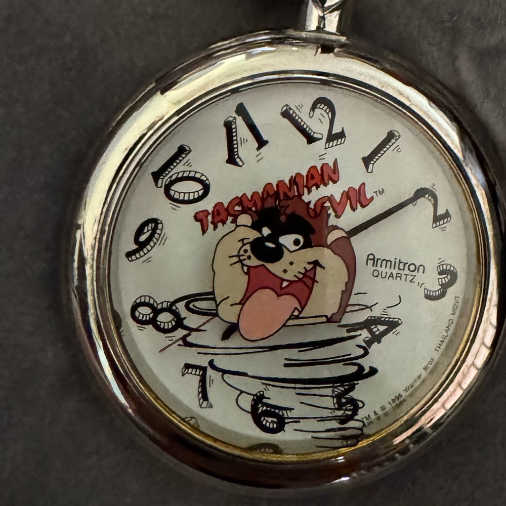 Clip on Watch